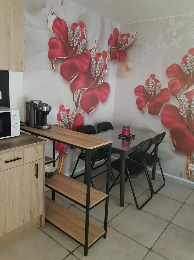 Joli De 30 M2 En Rdc Appartement