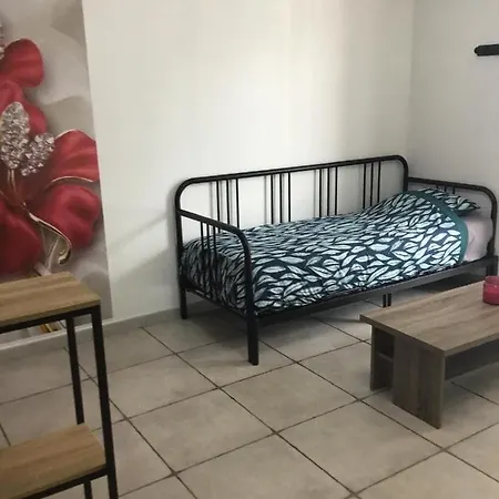 Joli appartement de 30 m2 en RDC Bassens  Extérieur photo